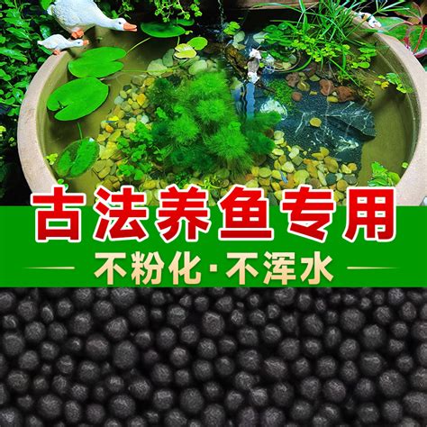 古法養魚|古法養魚不需要濾材，是不是就說明古法養魚也不需要硝化細菌了？